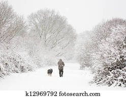 Man and dog in snow