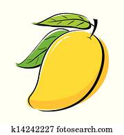 Mango design Mango design