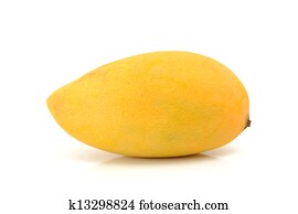 mango mango