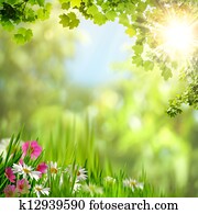 Maple leaves. Abstract natural backgrounds for your design