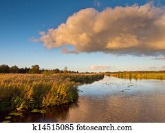 Marsh Country Netherlands Marsh Country Netherlands