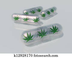 Medical Marijuana Medical Marijuana
