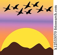 migratory fugler, på, solnedgang, eller, daggry