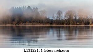 Misty Forest Across River Misty Forest Across River