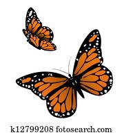 Monarch Butterfly Monarch Butterfly