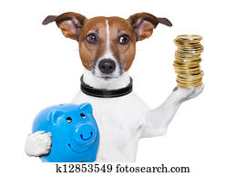 money saving dog
