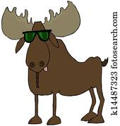 Moose wearing sunglasses Moose wearing sunglasses