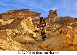 Mountain biker in a desert