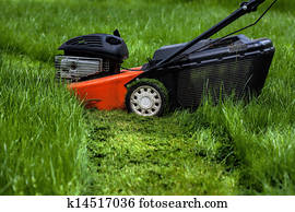 mower gramado, em, jardim
