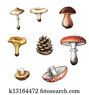 Mushrooms. Amanita, grebe, cep, boletus, chanterelle, bump, champignon, fir-cone. Mushrooms. Amanita, grebe, cep, boletus, chanterelle, bump, champignon, fir-cone.