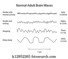 normal, ondas cérebro, eeg, eps8