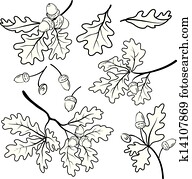 Oak branches with acorns, outline Oak branches with acorns, outline