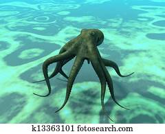 octopus at the bottom of the sea octopus at the bottom of the sea