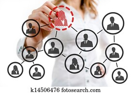 organisationsdiagramm