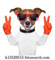 peace and victory fingers dog peace and victory fingers dog