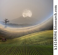 Peaceful Landscape with Mountain