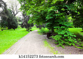 Peaceful park in the city