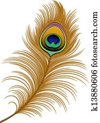 Peacock Feather Peacock Feather
