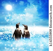Penguin couple in night fantasy landscape Penguin couple in night fantasy landscape