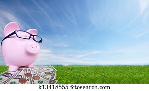 Piggy bank with money.