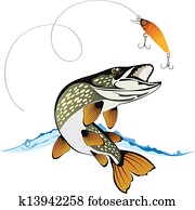 Pike and fishing lure Pike and fishing lure