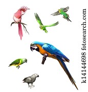 Pink, Gray and green parrot, macaw, Budgerigar, Isolated Illustration on white background. Pink, Gray and green parrot, macaw, Budgerigar, Isolated Illustration on white background.