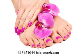 pink manicure and pedicure with a orchid flower. isolated pink manicure and pedicure with a orchid flower. isolated