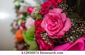 Pink rose bouquet close up background Pink rose bouquet close up background