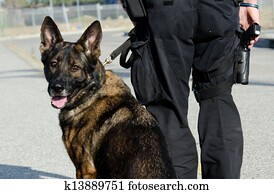Police Dog Police Dog