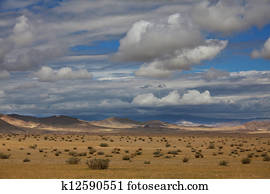 Prairie Prairie