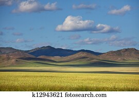 Prairie Prairie