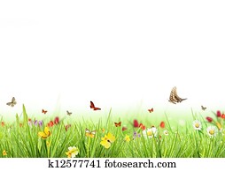 primavera, prado, com, fundo branco