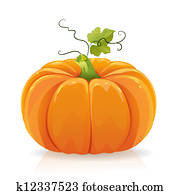 Pumpkin Pumpkin