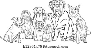 purebred, כלבים, קבץ, ציור היתולי, ל, לצבוע