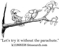 pássaros, tentar, voando, sem, um, pára-quedas