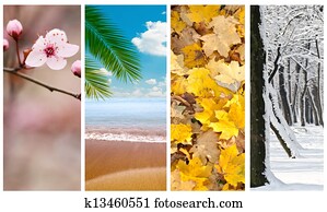 quatro estações, colagem