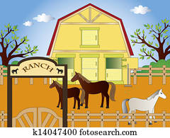 ranch ranch