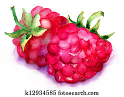 Raspberry fruit Raspberry fruit