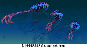 Red and Blue Jellyfish Red and Blue Jellyfish