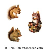 Red squirrel eating, Baby squirrel, American gray squirrel paw anxiously pressed to his chest, Isolated on white background. Red squirrel eating, Baby squirrel, American gray squirrel paw anxiously pressed to his chest, Isolated on white background.