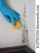 Removing Mold from a Wall with Alcohol Removing Mold from a Wall with Alcohol