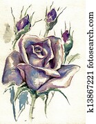 Rose Rose