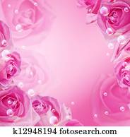 Pink roses Stock Image | is817-013 | Fotosearch