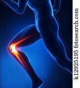 Running man knee anatomy Running man knee anatomy