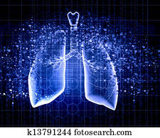 Schematic illustration of human lungs Schematic illustration of human lungs