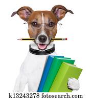 school dog school dog