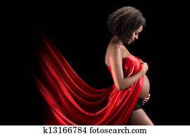 schwangerschaft, in, feine kunst