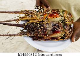 Seafood Seafood