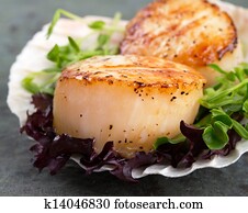 Seared scallops on lettuce Seared scallops on lettuce