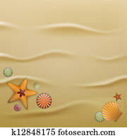 Seashells on sand, background Seashells on sand, background